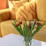 Appartement Marynarska Sloneczne Z Ogrodkiem I Parkingiem By Renters Grzybowo (West Pomeranian)